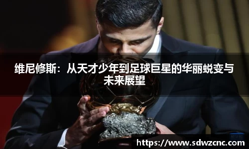 星空·综合体育官方网站
