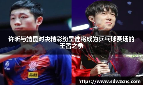 许昕与靖昆对决精彩纷呈谁将成为乒乓球赛场的王者之争