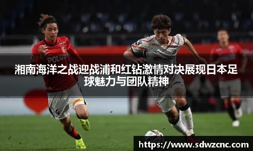 星空·综合体育中国官网