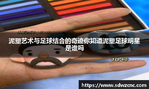 星空·综合体育官网