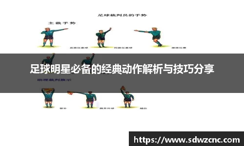 星空·综合体育官网