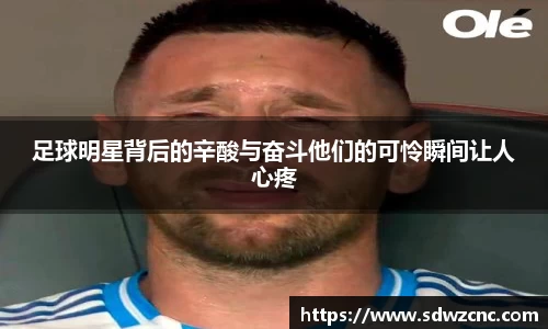 星空·综合体育中国官网
