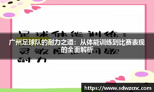 星空·综合体育官方网站