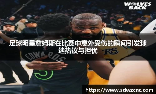 星空·综合体育官方网站