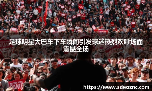 星空·综合体育官方网站