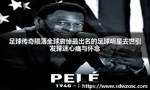 星空·综合体育中国官网