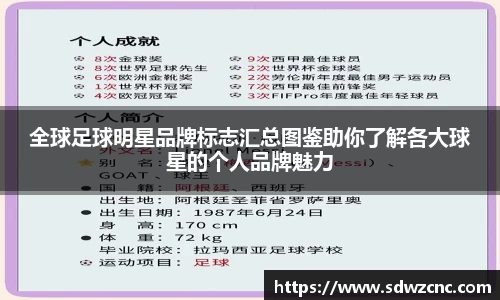 星空·综合体育官方网站