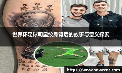 星空·综合体育官方网站