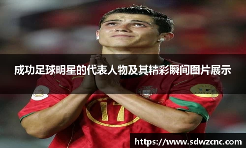 星空·综合体育官网