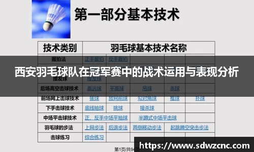 星空·综合体育官网